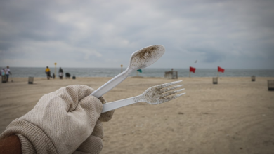 The Environmental Impact of Plastic Spoons and Forks