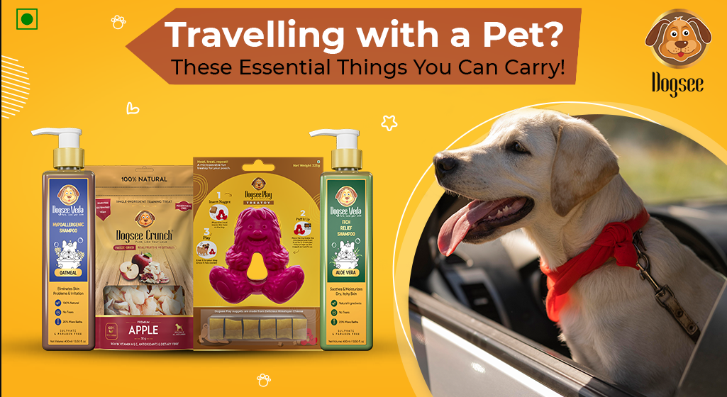 Do you travel with your dog Here are some essential items you can carry