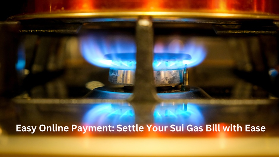 Easy Online Payment: Settle Your Sui Gas Bill with Ease