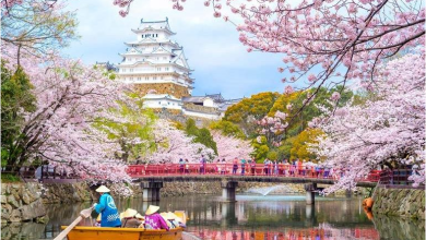 Embarking on a Journey to Japan: Essential Tips for the Informed Traveler