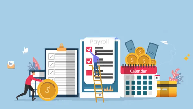 Payroll Company: The Roles and Responsibilities