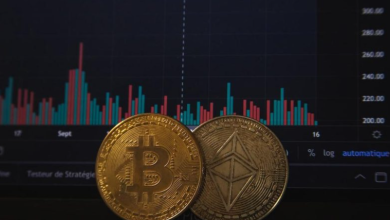 Is volatility in crypto truly a flaw?