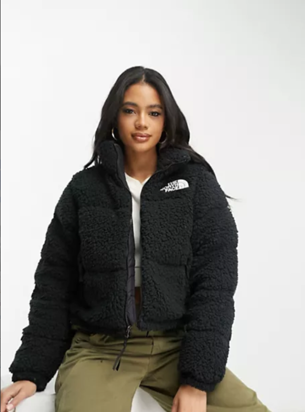 The Ultimate Blend of Style and Performance – North Face Women’s Jackets