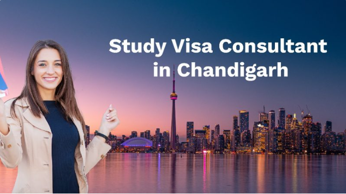 Immigration and Education Consultants in Chandigarh: Navigating Your Path to a Global Future
