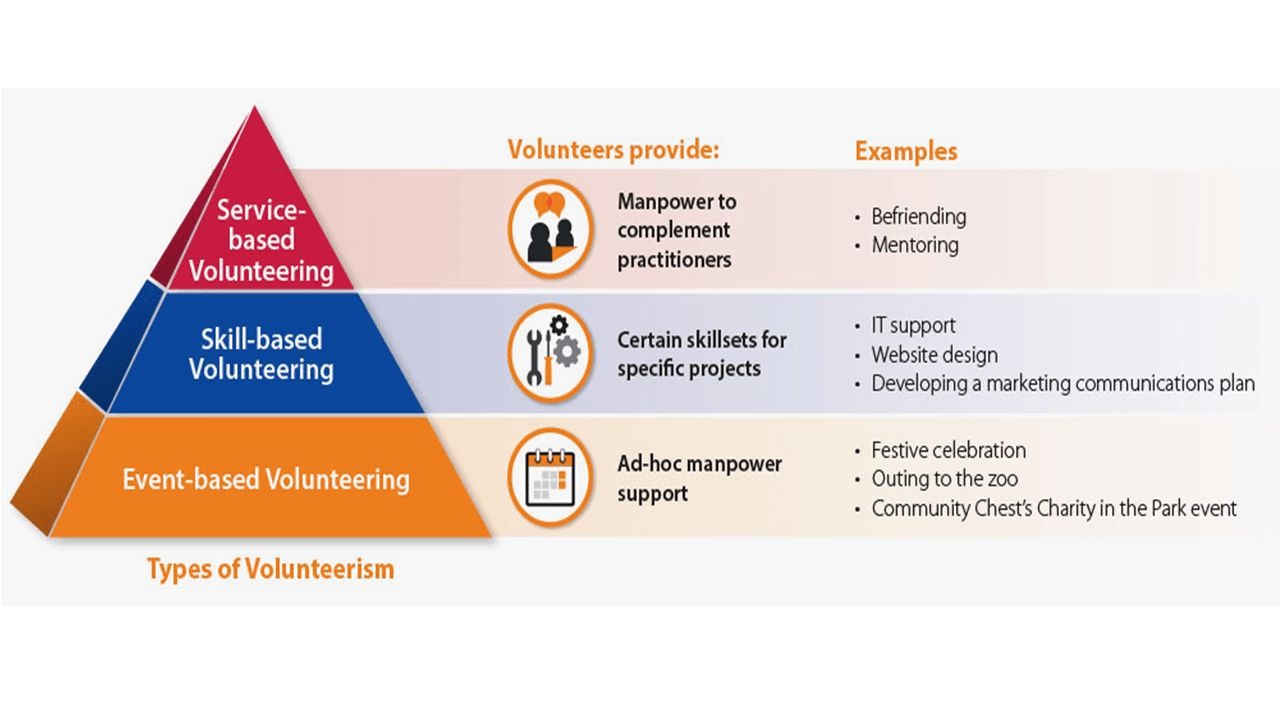 What are the Types of Volunteering?