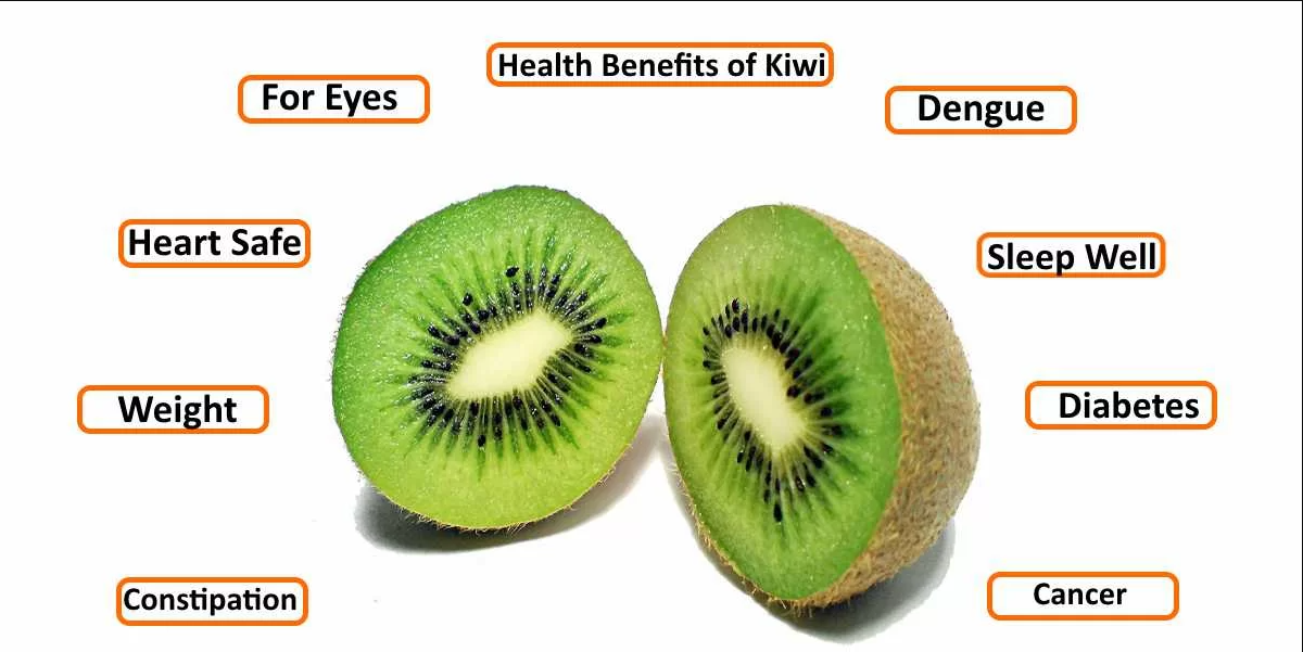 You Need to Know How Kiwi Fruit Benefits for you