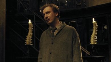 How Did Remus Lupin Become A Werewolf?
