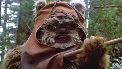 Ewoks Are The Unsung Heroes Of The Franchise & Deserve A Revival