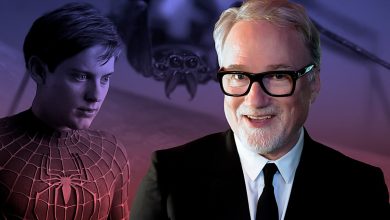 David Fincher’s Failed Marvel Movie Pitch ‘Eviscerated’ Spider-Man In One Key Way