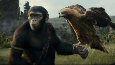 Kingdom Of The Planet Of The Apes Teaser Might Be The Best Trailer Of The Year