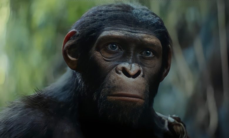 The Kingdom Of The Planet Of The Apes Trailer’s New Hero Explained