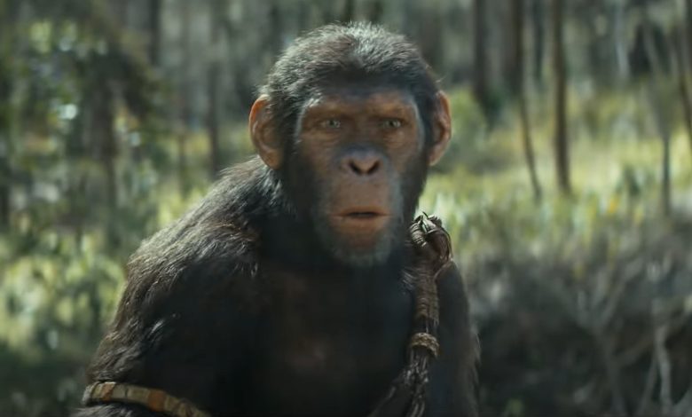 Kingdom Of The Planet Of The Apes Plot Details Will Disappoint Caesar Fans