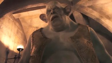 What The Troll In The Bathroom From Harry Potter Looks Like In Real Life