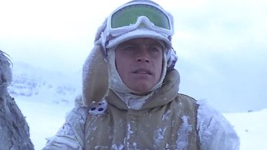 Mark Hamill’s Car Accident Led To The Wampa Attack