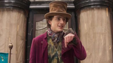 Timothée Chalamet Teases A ‘Twisted’ Story He Wants To Explore In A Wonka Sequel