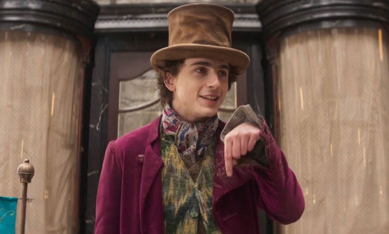 Timothée Chalamet Teases A ‘Twisted’ Story He Wants To Explore In A Wonka Sequel