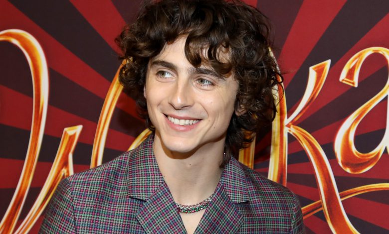 Timothée Chalamet Doesn’t Know Axed Barbie Role