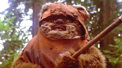 What Happened To Wicket The Ewok After Return Of The Jedi?