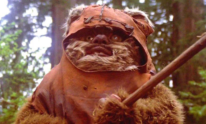 What Happened To Wicket The Ewok After Return Of The Jedi?