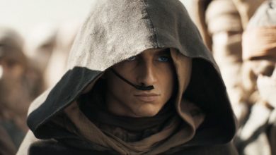 Timothée Chalamet ‘Spoils’ Return Of Dead Character In Dune 3 (If It Ever Happens)