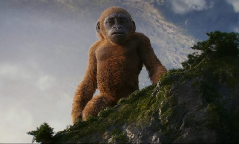 The New Empire’s ‘Baby Kong’ Has A Name (With A Secret Meaning)