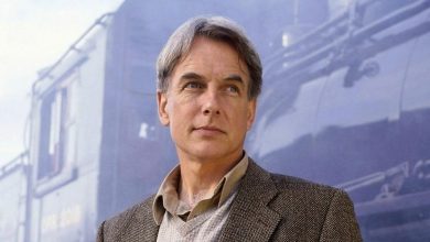 Mark Harmon’s Best Movies And TV Shows Outside Of NCIS