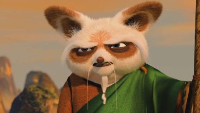 What Kind Of Animal Is Master Shifu? Why Some Kung Fu Panda Fans May Be Confused