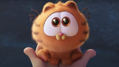Garfield Release Date, Cast, Director, And More Details