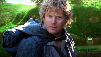 Lord Of The Rings Movies Cut A Key Book Scene Where Sam Totally Changes The Shire