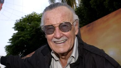 Stan Lee’s Favorite Marvel Cameo Is Likely Not The Moment You Think
