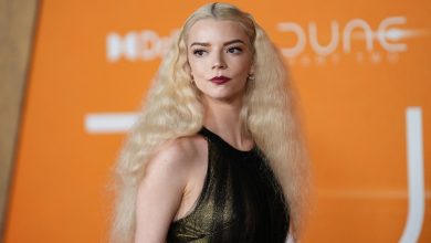The Real Reason Behind Anya Taylor-Joy's Secret Casting In Dune: Part Two