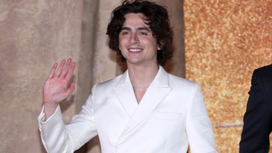 Timothée Chalamet’s Bob Dylan Look Leaked In Set Photos From A Complete Unknown