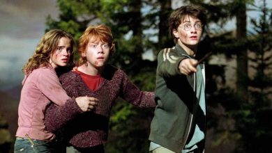Daniel Radcliffe Was ‘Terrified’ Of This Harry Potter Co-Star
