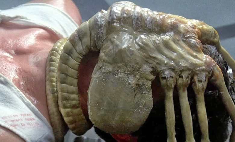 Romulus Released A Video Of ‘Real’ Facehuggers And They’re Nightmare Fuel
