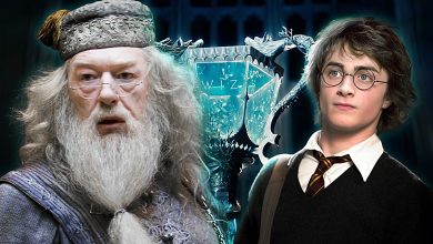 A Harry Potter Theory Might Fix A Major Dumbledore Problem In The Goblet Of Fire