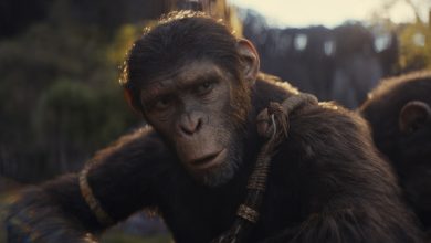What Noa From Kingdom Of The Planet Of The Apes Looks Like In Real Life