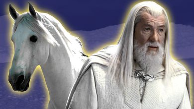 The Deeper Meaning of Gandalf’s Horse’s Name, Explained