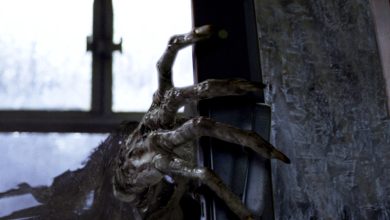 What Dementors Really Look Like Under Their Cloaks