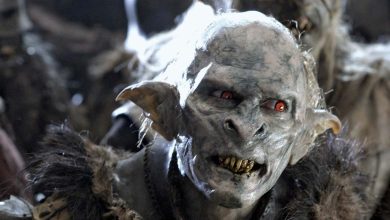 What are the Orcs in Lord of the Rings exactly?