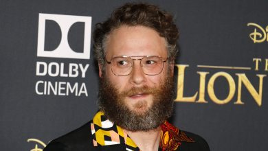 Two Seth Rogen Movies Will Never Get Sequels (For A Good Reason)