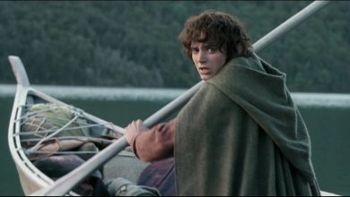 Lord Of The Rings’ Boat Theory Makes Sense