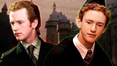 What Happened To Percy Weasley After Harry Potter And The Deathly Hallows?