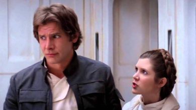 What Is A Nerf-Herder & Why Does Princess Leia Call Han Solo One?