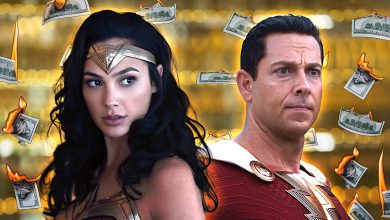 Why These DC Movies Bombed At The Box Office