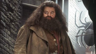 The Moment Hagrid’s Horrifying ‘Dead Head’ In Harry Potter Came to Life