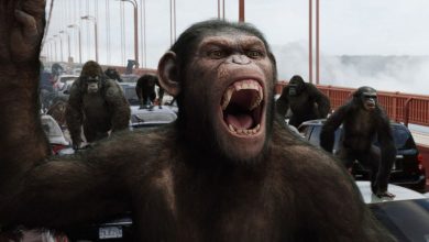 Why Twitter Thinks Planet Of The Apes Is Happening In Real Life