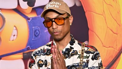 Did Pharrell Williams Really Record A Drake Diss Track On Despicable Me 4?