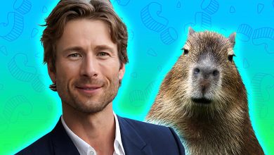 The Glen Powell Capybara Meme, Explained