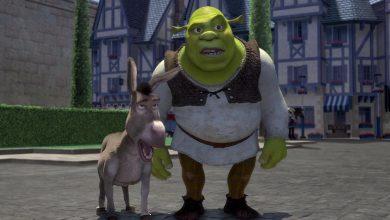 What Is the Shrek 5 Plot? Reddit Has Some Ideas